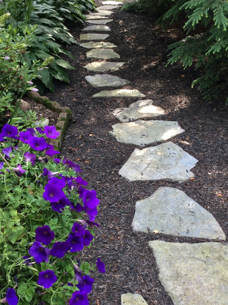 Purple petunias spill out of a basket and green shade hosta on the left with a  stepping-stone path on the right side of the photo. A few Hemlock branches too