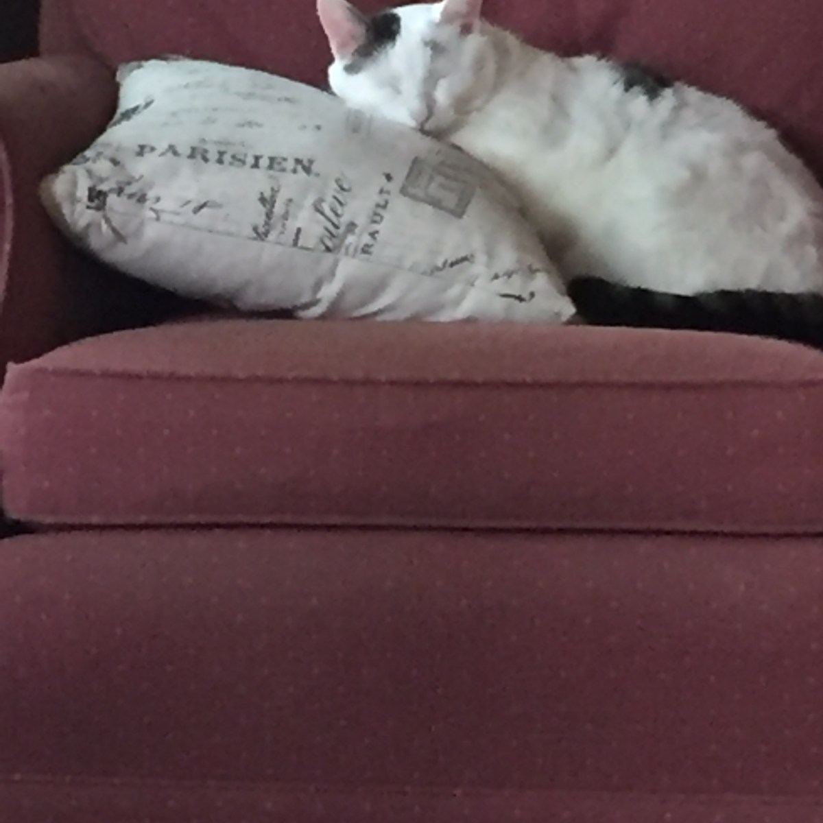 When Leaves Fall, Let Them Be (Leaves Are Meant to&nbsp;Fall)