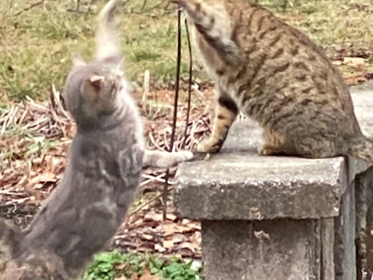 Spring Dreaming: (Not, Ahem, Spring&nbsp;Cleaning)