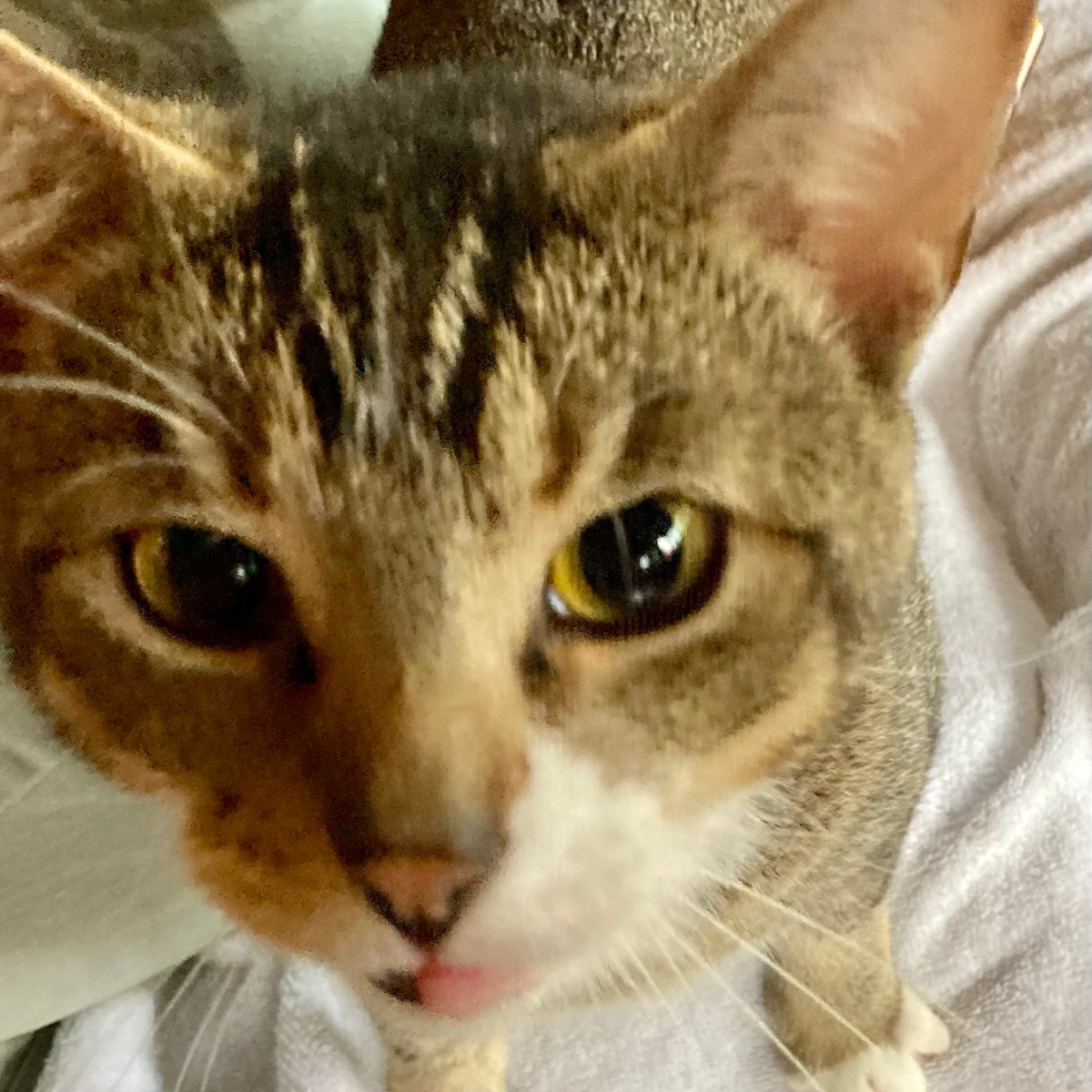 Welcome Home Walter&nbsp;Mitty!